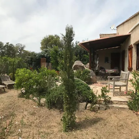 Mini Argentella Hp4 *